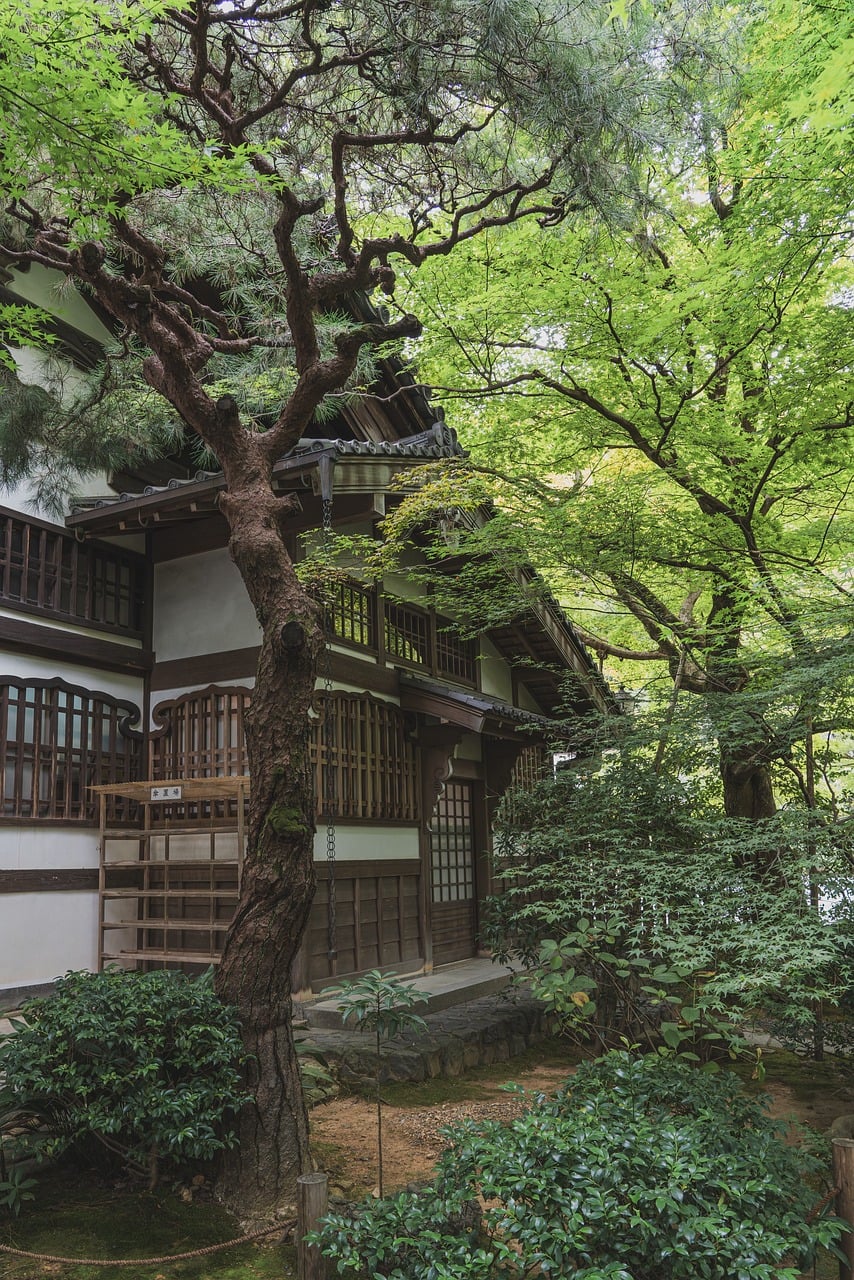 龍安寺の石庭にはフラクタル構造が隠されていた——脳を癒す幾何学の謎